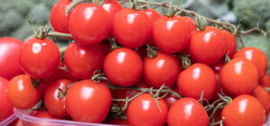 Где в эти выходные в Киеве пройдут продуктовые ярмарки. Адреса
